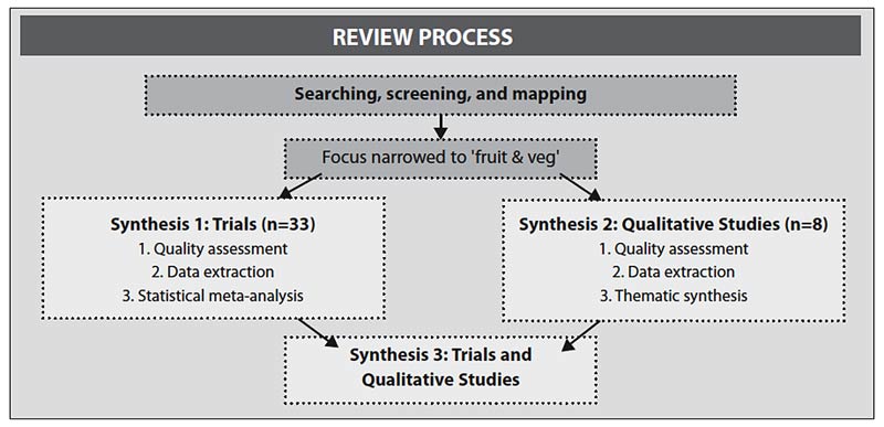 A young researcher's guide to a systematic review