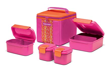 Figure 5: Tupperware® Fuel Pack: This image shows four teal colored plastic containers with light green lids, and teal latches