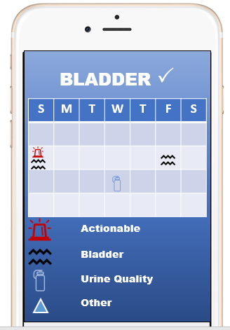 Wireframe of the Bladder Check App. The screenshot shows a month grid daily tracking chart for 4 items: Actionable, Bladder, Urine Quality, and Other.